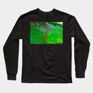 Dragon Fly in the garden in autumn Long Sleeve T-Shirt